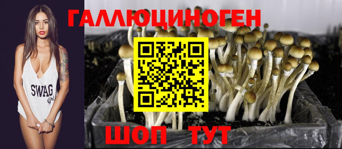 Бахчисарай  Галлюциногенные грибы прущие грибы  Вход с VPN 