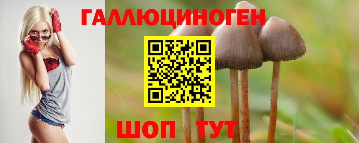 Псилоцибиновые грибы мухоморы Бахчисарай